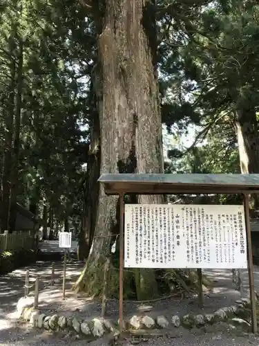 山住神社の建物その他