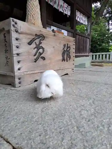 大御和神社(徳島県)