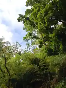 刺田比古神社(和歌山県)(2026年05月04日(月) 05時56分45秒投稿)