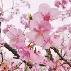 鶴岡八幡宮(神奈川県)