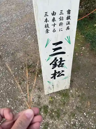 霊山寺の自然
