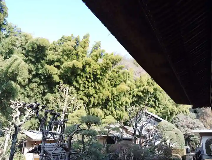 茂林寺(群馬県)