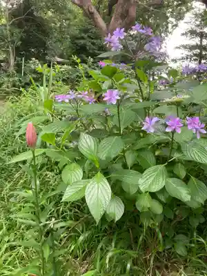 北金目神社(神奈川県)