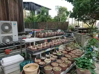 日蓮宗龍口山本龍寺の授与品その他