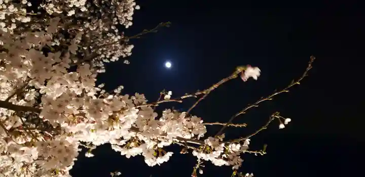 武田廣神社の自然