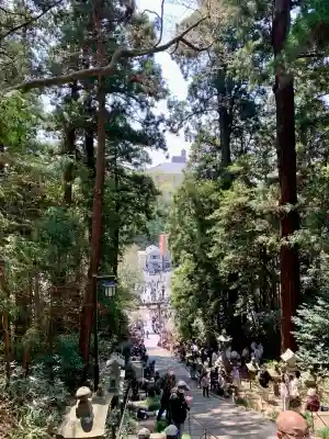 志波彦神社・鹽竈神社(宮城県)