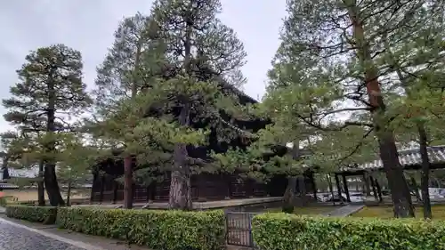 大徳寺(京都府)