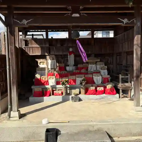 般若寺 ❁﻿コスモス寺❁(奈良県)