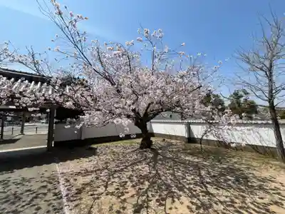 神明神社(兵庫県)