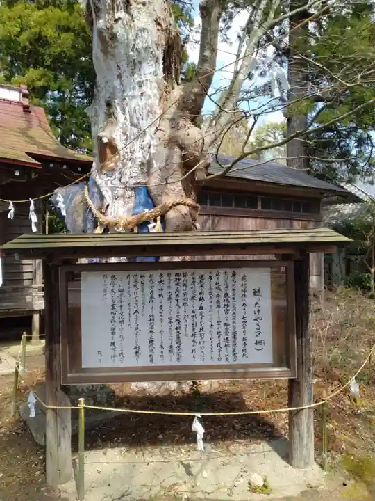 鹿嶋神社(宮城県)