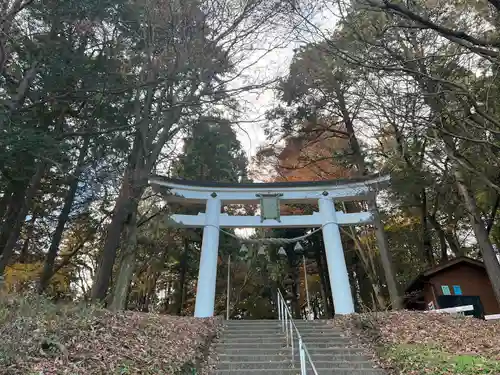 宝登山神社奥宮(埼玉県)