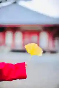 浄土寺(兵庫県)(2024年12月21日(土) 12時35分13秒投稿)