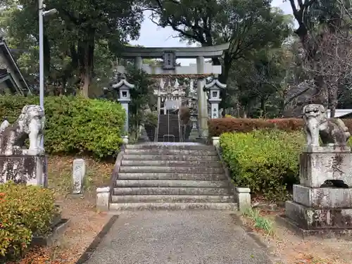 椿八幡宮の狛犬