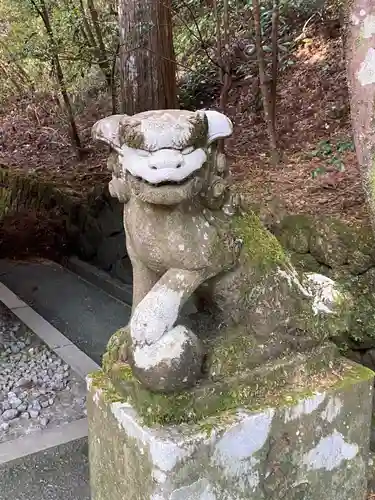 箱根神社の狛犬