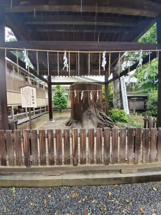 須賀神社の自然