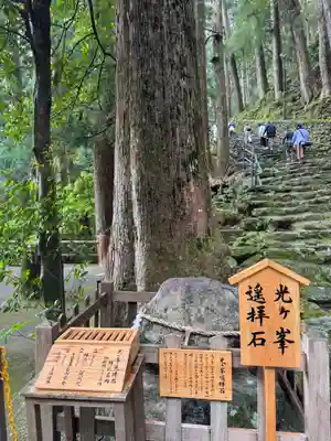 飛瀧神社(熊野那智大社別宮)(和歌山県)