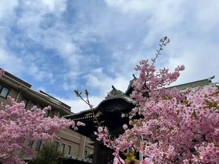 桜神宮(東京都)