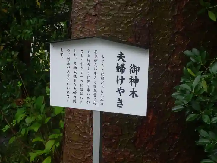 阿佐ヶ谷神明宮のその他建物