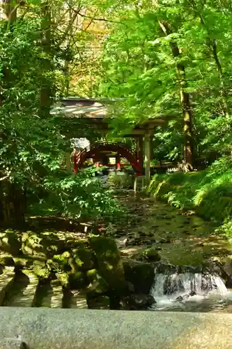 彌彦神社(新潟県)