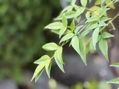 西方山極楽寺(岐阜県)