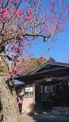 賀茂別雷神社の建物その他