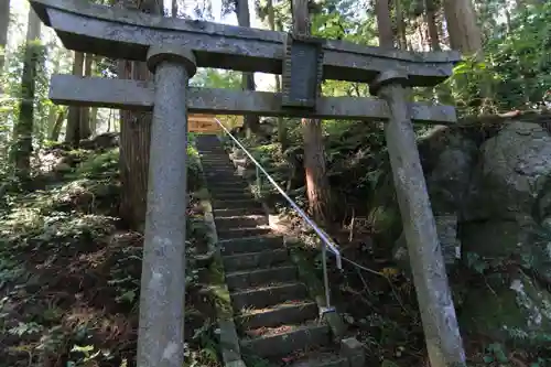 津島神社の鳥居