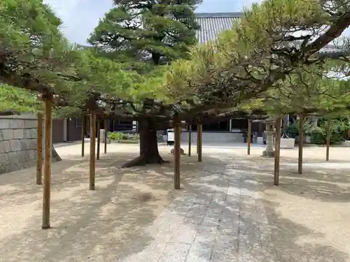 本福寺(滋賀県)