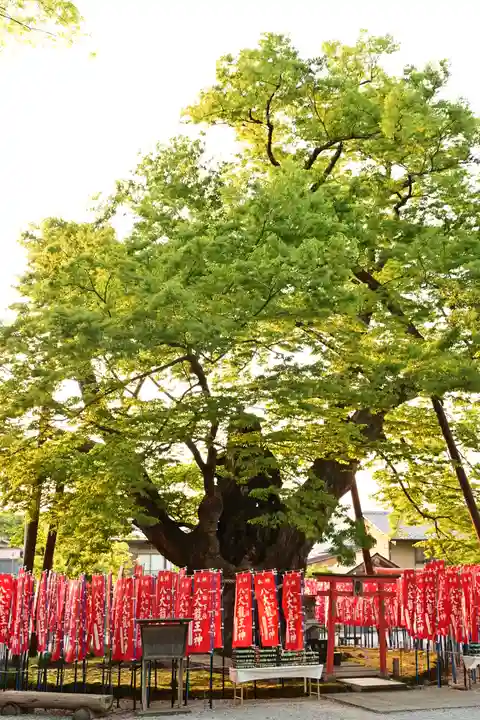 秩父今宮神社(埼玉県)