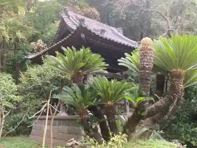 宝生寺(神奈川県)