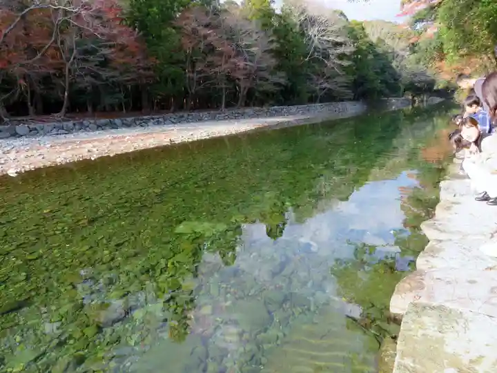 伊勢神宮内宮(皇大神宮)の自然