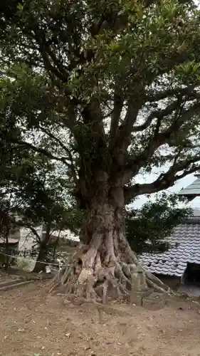 大聖寺(波切不動尊)(千葉県)