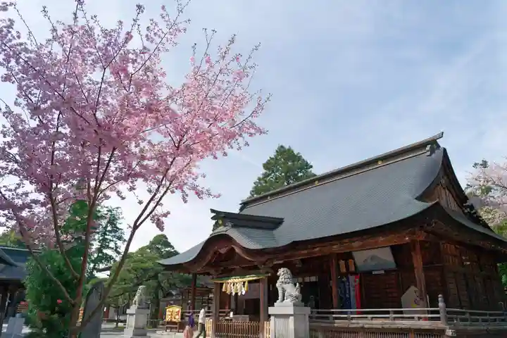 甲斐國一宮 浅間神社(山梨県)