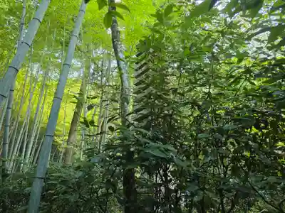 滝口寺(京都府)