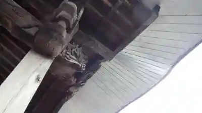 大鏑神社のその他建物