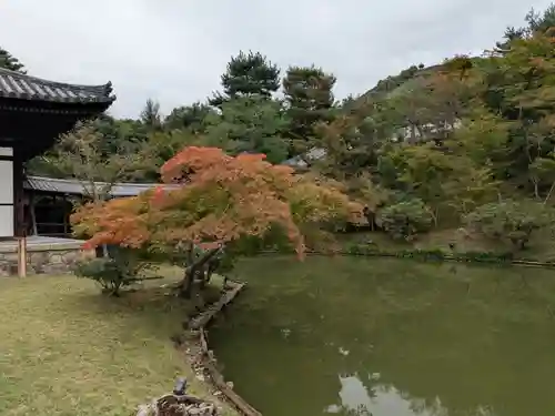 高台寺（高台寿聖禅寺・高臺寺）(京都府)