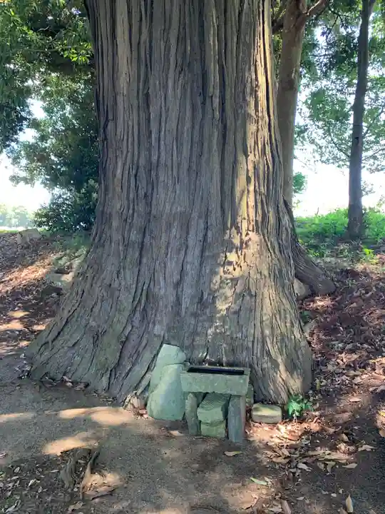 八幡神社(千葉県)