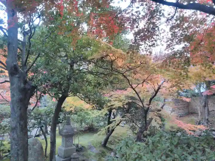 新薬師寺の自然