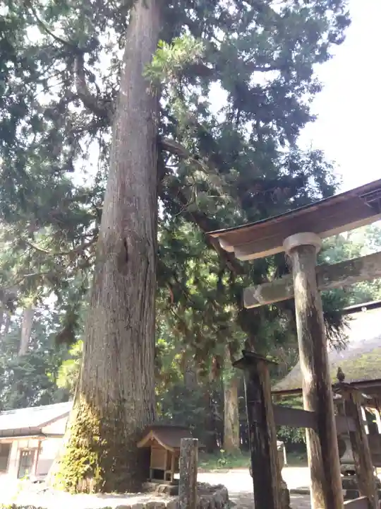 祖師野八幡宮(岐阜県)