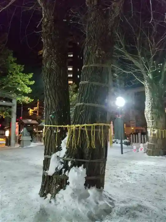 北海道神宮頓宮の自然