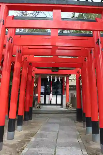 素盞嗚神社の鳥居