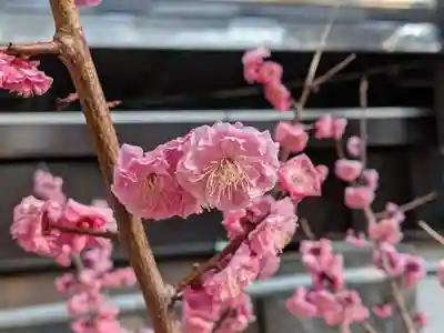 馬橋稲荷神社(東京都)