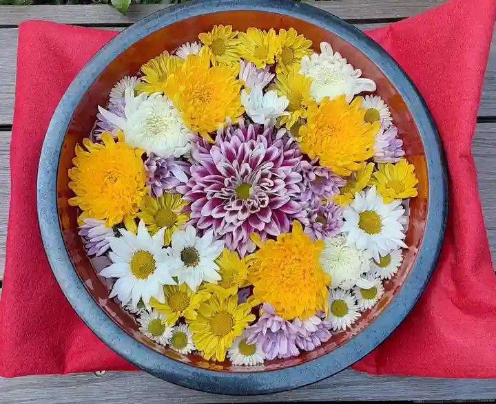 増上寺塔頭 三縁山 宝珠院の手水舎