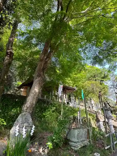 高尾山麓氷川神社(東京都)
