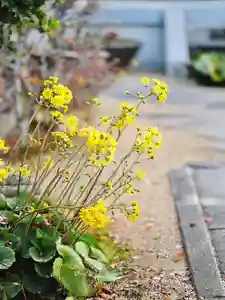 浄土寺(兵庫県)(2025年11月20日(木) 10時23分23秒投稿)