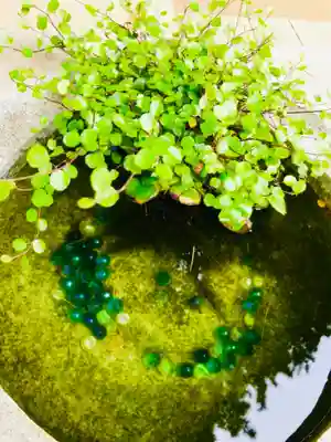 大宝八幡宮の手水舎