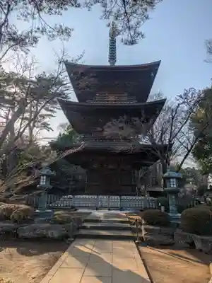 豪徳寺(東京都)