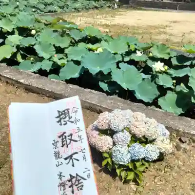雲龍山 本證寺(愛知県)