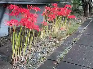 伊勢の国 四天王寺の自然(2022年09月30日(金) 11時29分28秒投稿)