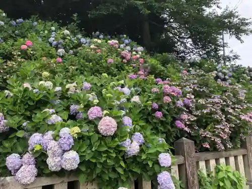 粟井神社の自然