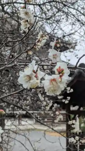 満願寺(京都府)